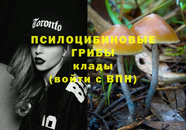 гашиш Богородицк