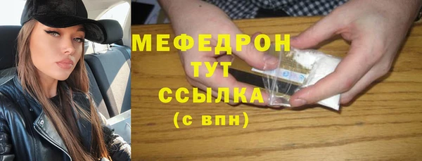 МДПВ Богородск