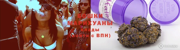 МДПВ Богородск