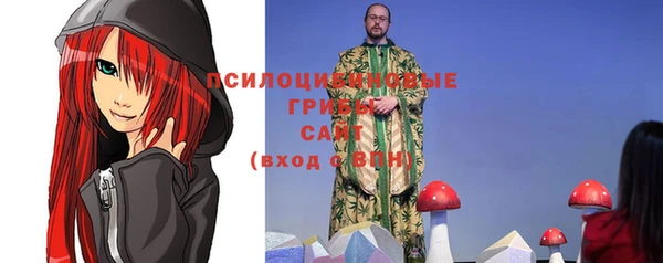 гашиш Богородицк