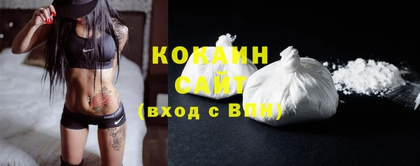 сатива Богданович