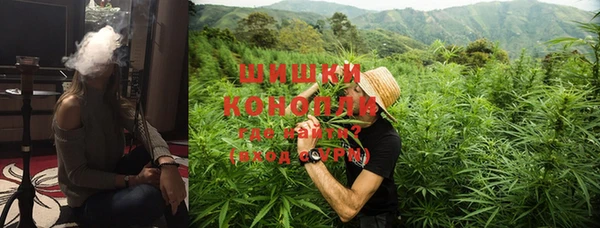 сатива Богданович