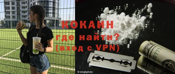 сатива Богданович